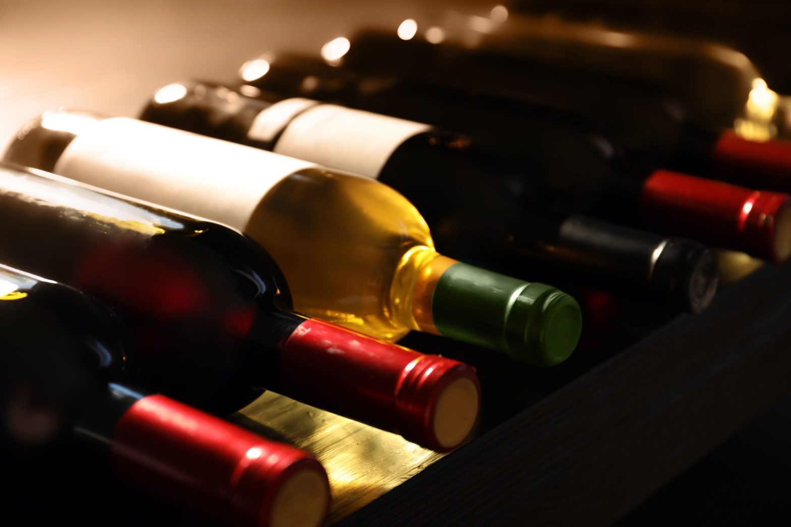 BamaCo-La saggezza è nel vino….bevi BamaCo – Organizzazione eventi